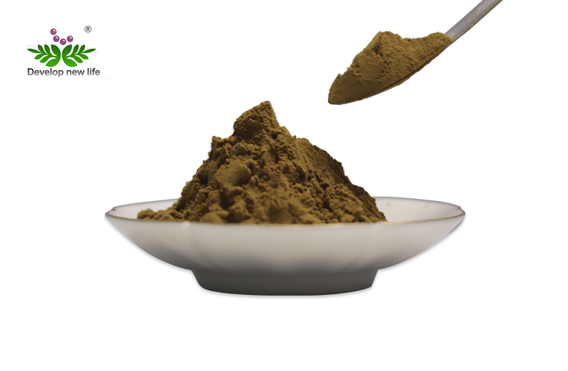 Salsola Collina Extract